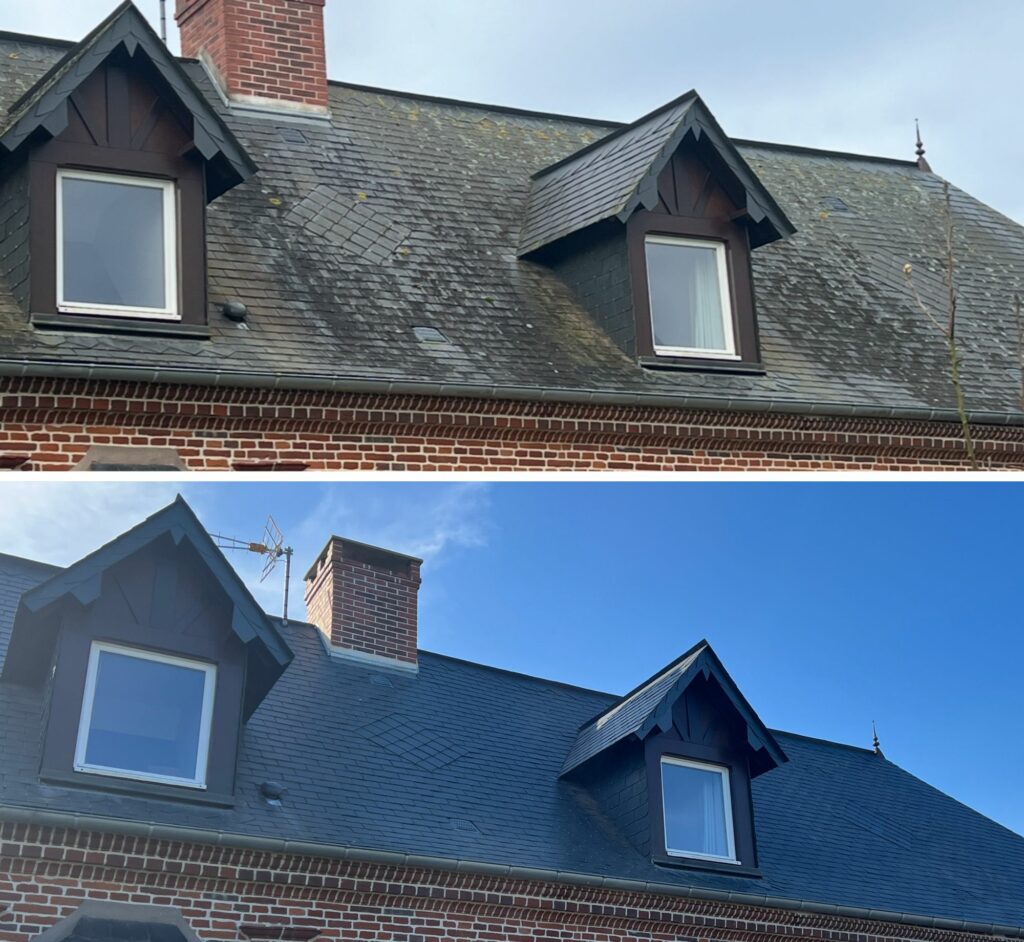 Nettoyage de toiture et traitement hydrofuge de toiture ; Entretien des panneaux solaires ou entretien des panneaux photovoltaïques ; Nettoyage et traitement hydrofuge des façades ; Nettoyage et traitement hydrofuge des Bardages ; Nettoyage des terrasses ; Nettoyage des sols extérieurs ; Nettoyage de la vitrerie par Drone.